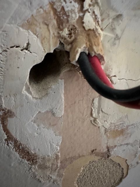 IMG_9521.jpg IMG_9521.jpg