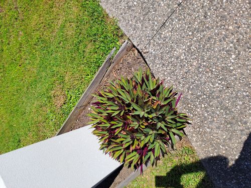 1000014035.jpg 1000014035.jpg