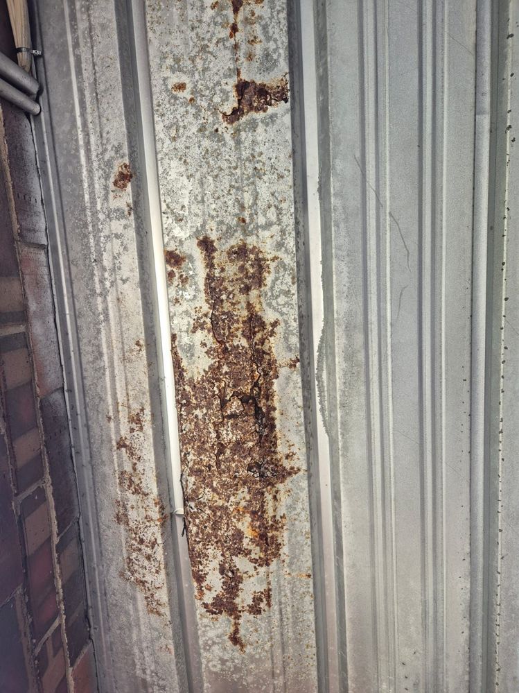 IMG-20250210-WA0005.jpg IMG-20250210-WA0005.jpg