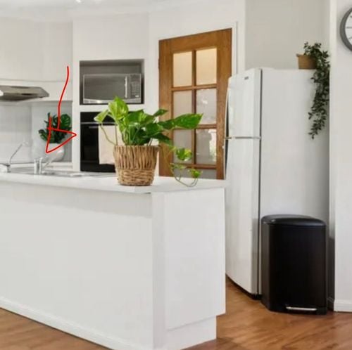 IMG_3904.jpeg IMG_3904.jpeg