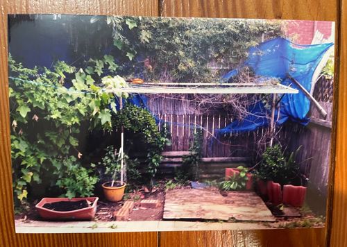 IMG_3795.jpeg IMG_3795.jpeg