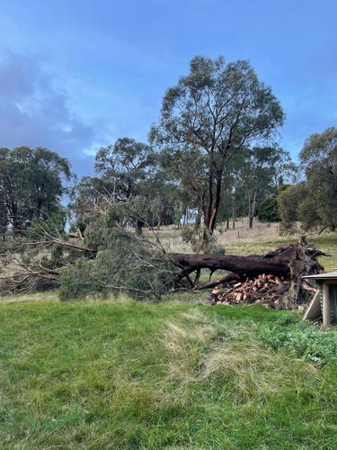 EC9AC405-86AB-4403-B187-D0081CDE492C.jpeg EC9AC405-86AB-4403-B187-D0081CDE492C.jpeg