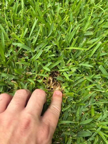 IMG_3339.jpeg IMG_3339.jpeg