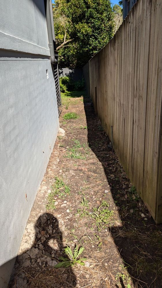 PXL_20241201_221410272.jpg PXL_20241201_221410272.jpg