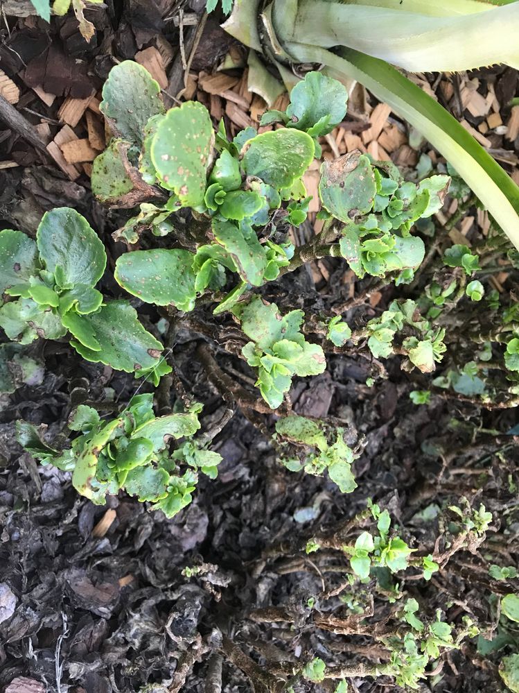 20250415103402.jpg 20250415103402.jpg