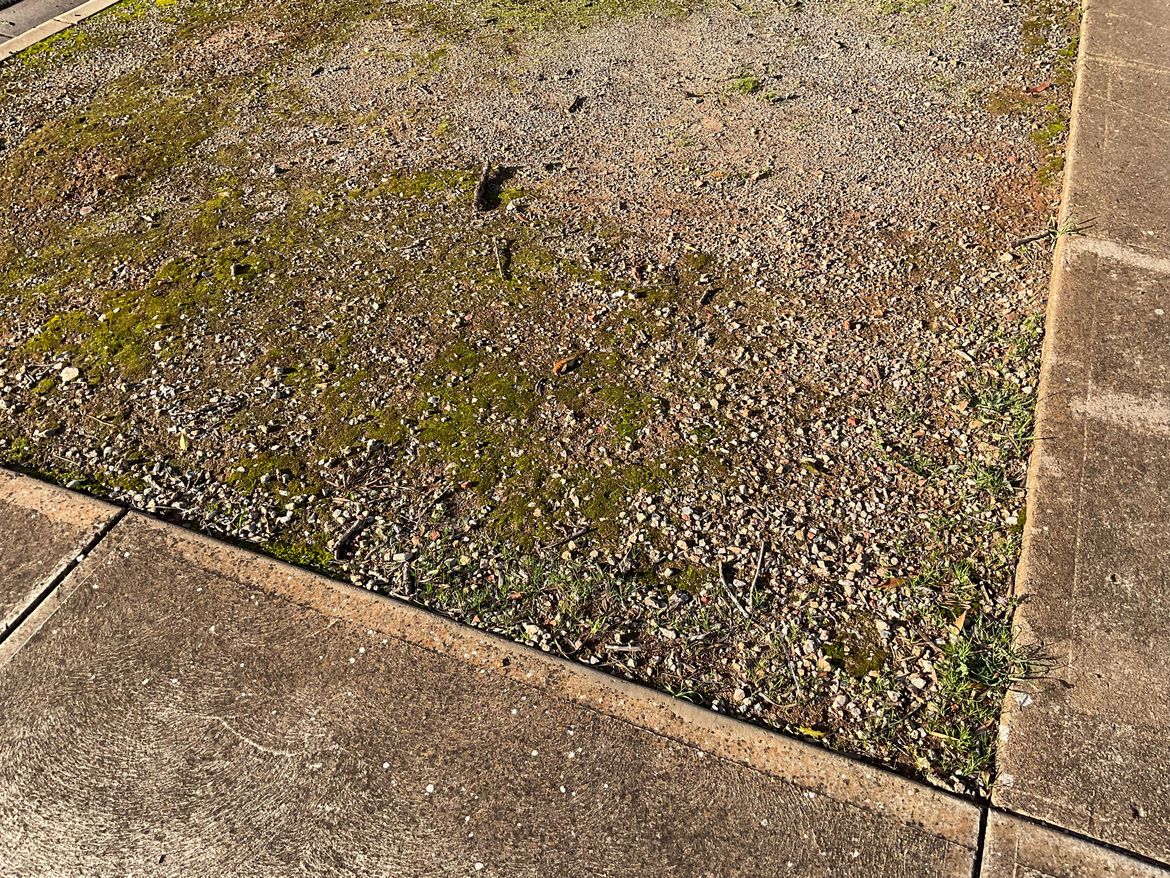 IMG_0614.jpeg IMG_0614.jpeg