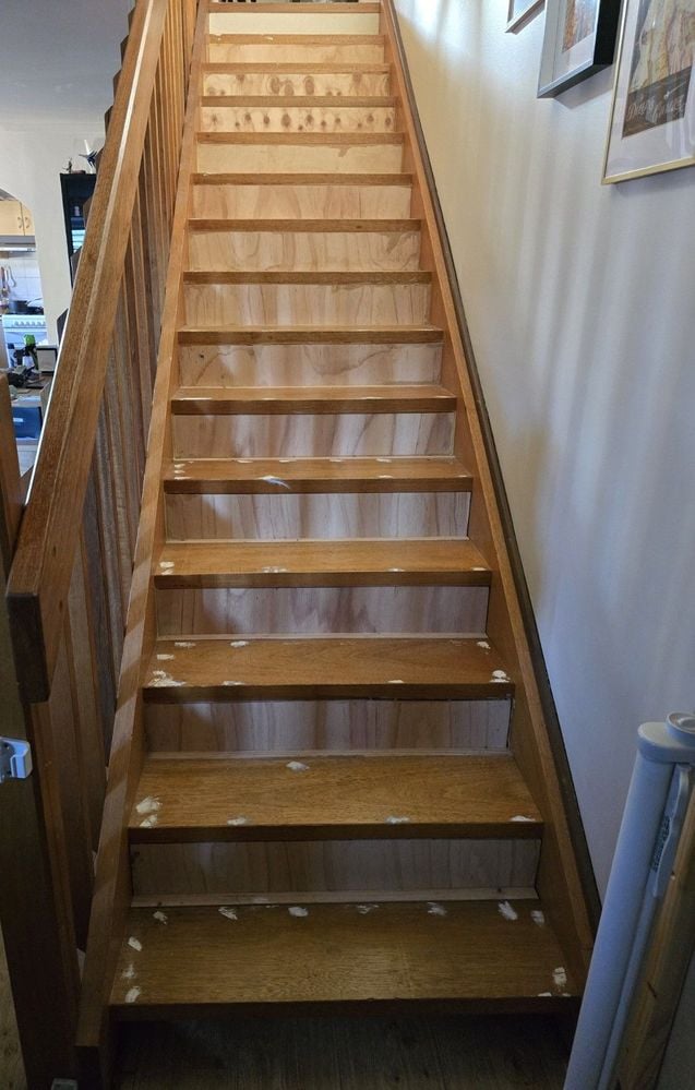 20250409_170831.jpg 20250409_170831.jpg