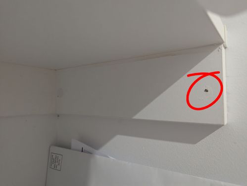 1000012736.jpg 1000012736.jpg