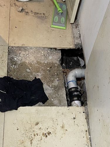 IMG_4420.jpeg IMG_4420.jpeg