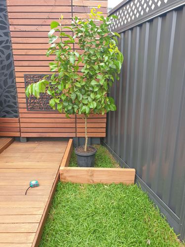 20201205_115931.jpg 20201205_115931.jpg