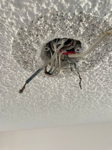 IMG_7019.jpeg IMG_7019.jpeg