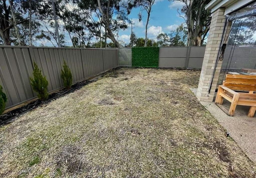 patchy-grass-around-corner.jpeg patchy-grass-around-corner.jpeg