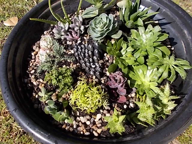 DSCN0228.JPG DSCN0228.JPG