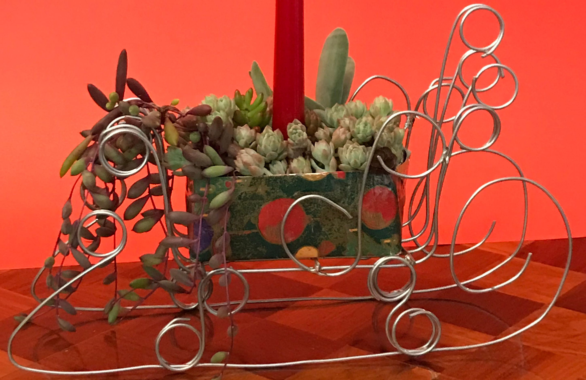 Jamespeter100.png Jamespeter100.png