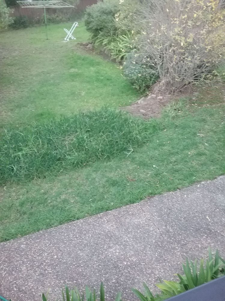 20180708_163942.jpg 20180708_163942.jpg