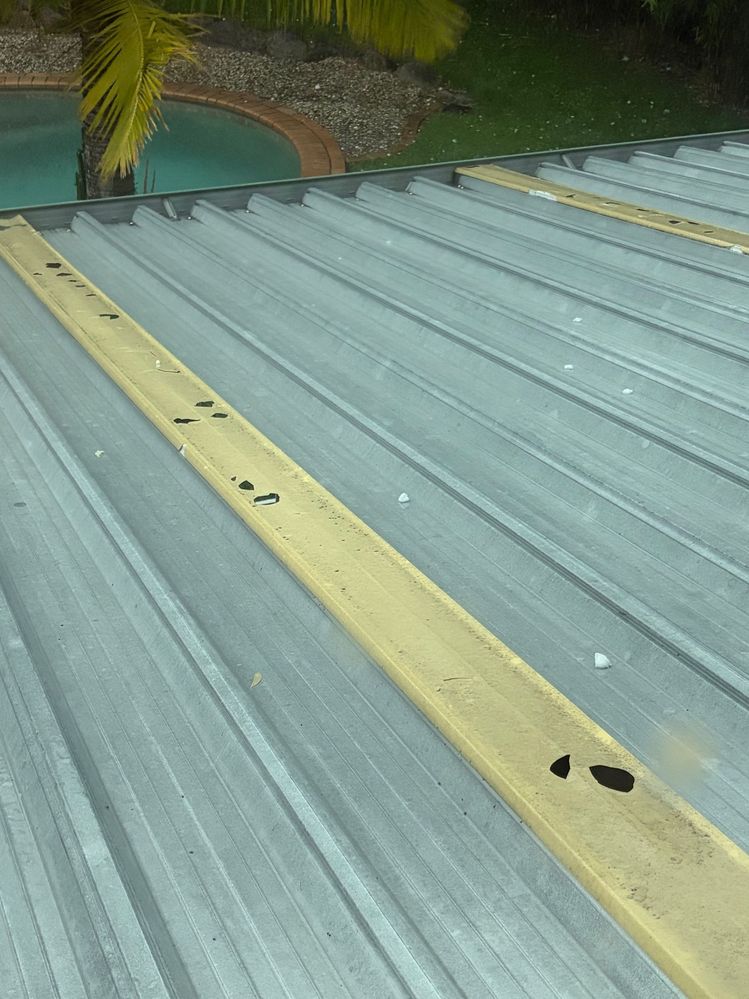 IMG_5052.jpeg IMG_5052.jpeg