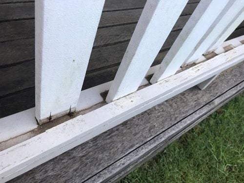 IMG_9830.JPG IMG_9830.JPG