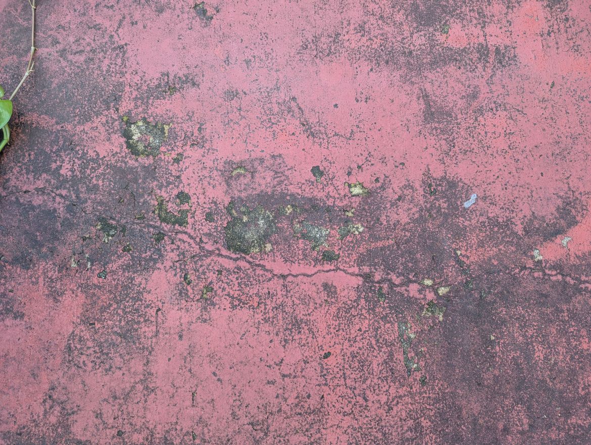 PXL_20250330_041248102.jpg PXL_20250330_041248102.jpg