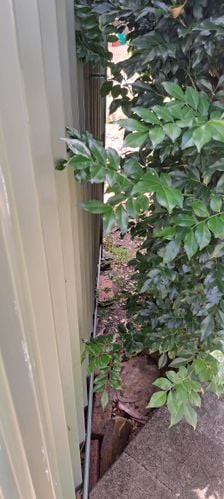 20230427_131554.jpg 20230427_131554.jpg