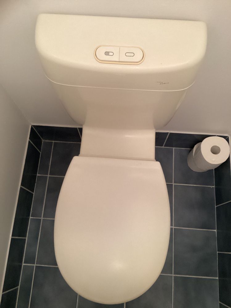 IMG_0138.jpeg IMG_0138.jpeg