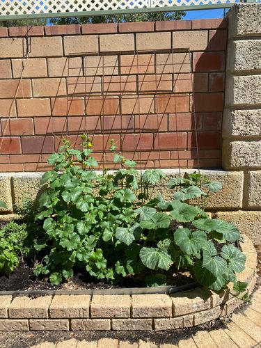 IMG_9829.jpeg IMG_9829.jpeg