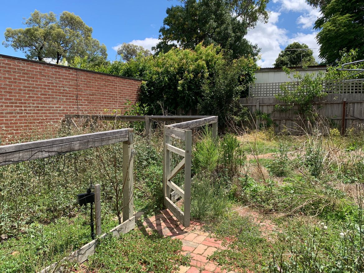 IMG-3883.jpg IMG-3883.jpg