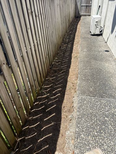 IMG_5456.jpeg IMG_5456.jpeg