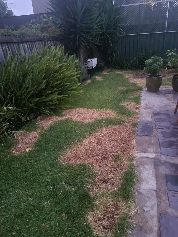 20250123_205612.jpg 20250123_205612.jpg