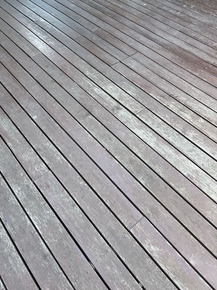 IMG_3588.JPG IMG_3588.JPG