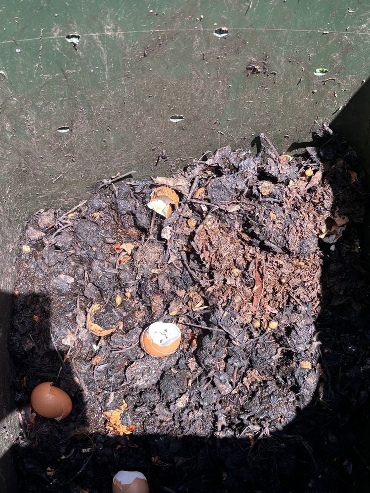 IMG_5484.jpg IMG_5484.jpg