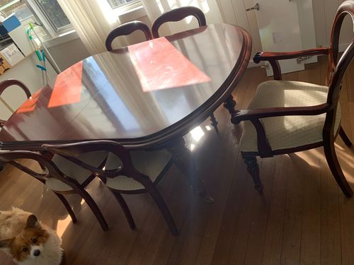 IMG_5572.jpeg IMG_5572.jpeg