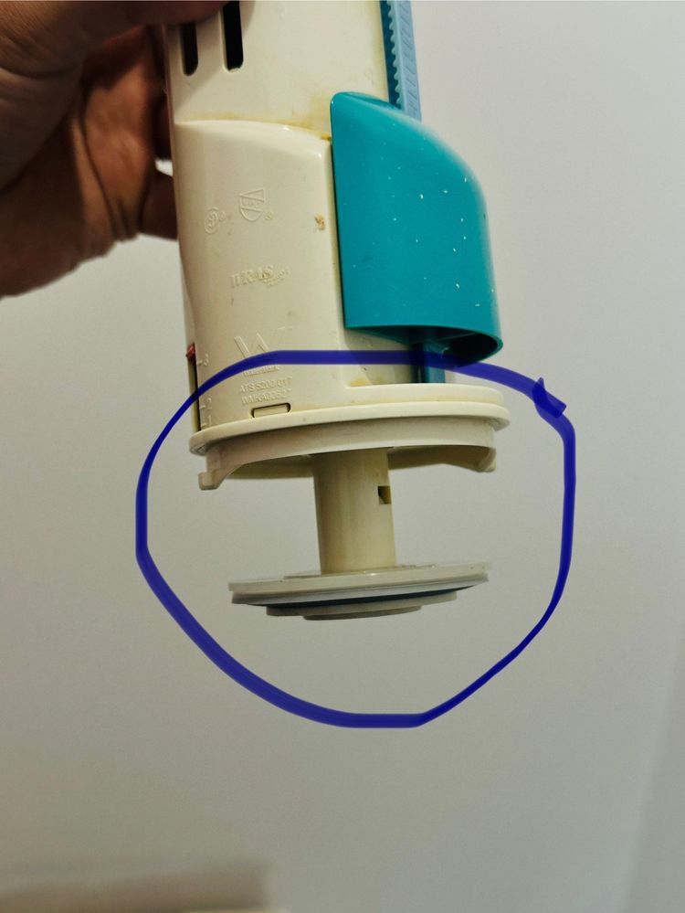 IMG_8487.jpeg IMG_8487.jpeg