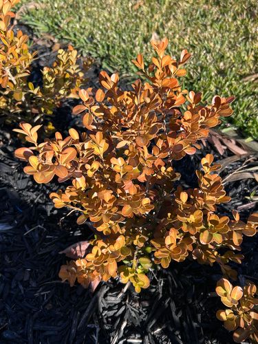 IMG_9189.JPG IMG_9189.JPG