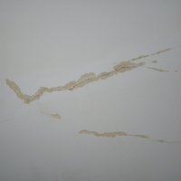 2.3 Loose paint removed.png 2.3 Loose paint removed.png