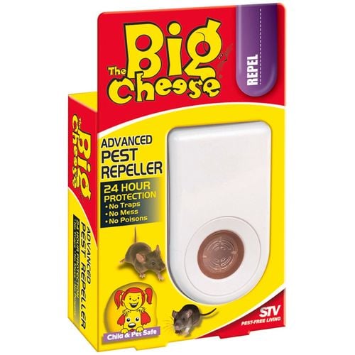 Cranswick_1-1727513156939.jpeg Cranswick_1-1727513156939.jpeg