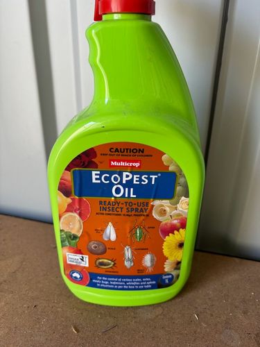 IMG_8874.jpeg IMG_8874.jpeg