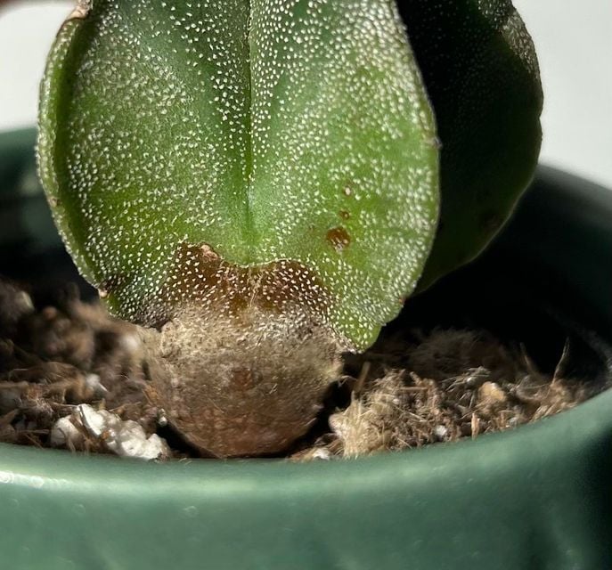 IMG_1264.jpg IMG_1264.jpg