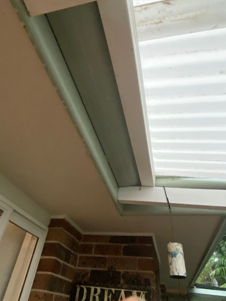 IMG_7906.JPG IMG_7906.JPG