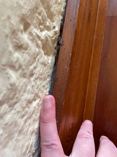 IMG_8079.jpeg IMG_8079.jpeg