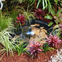 Step 8 Mulch around plants and turn on pump.jpg Step 8 Mulch around plants and turn on pump.jpg