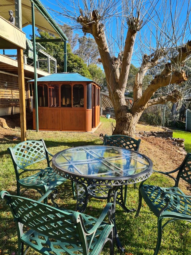 20220720_110017.jpg 20220720_110017.jpg