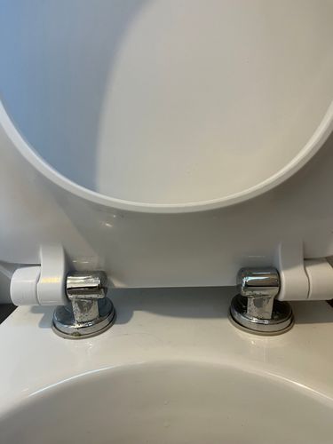 IMG_2704.jpeg IMG_2704.jpeg