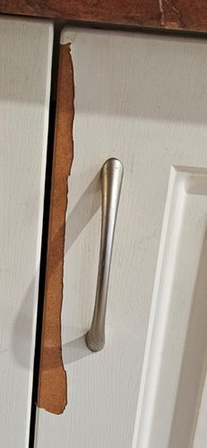 1000091044.jpg 1000091044.jpg