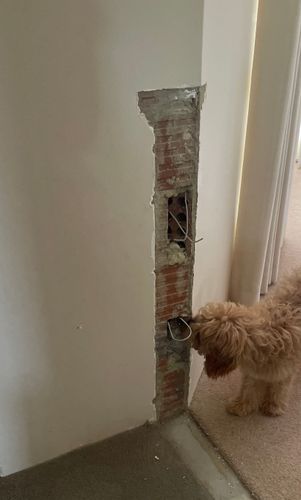 IMG_6075.jpeg IMG_6075.jpeg