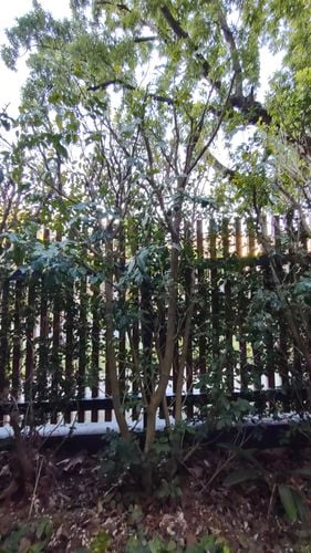 17599957818175622105276312375928.jpg 17599957818175622105276312375928.jpg