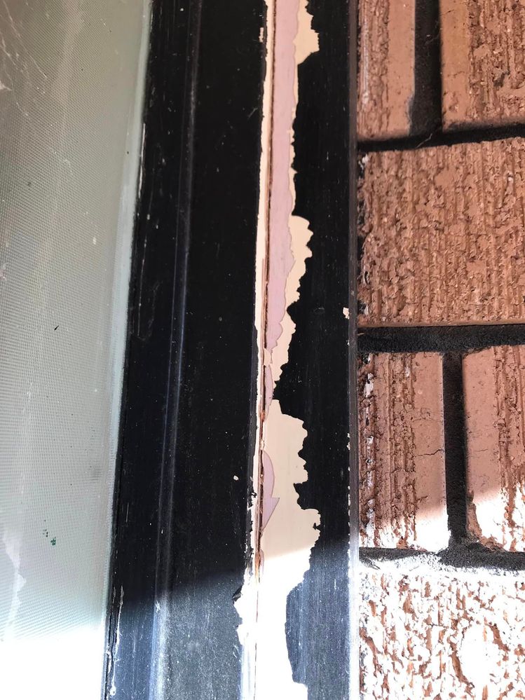 07 19-06-2023.jpg 07 19-06-2023.jpg