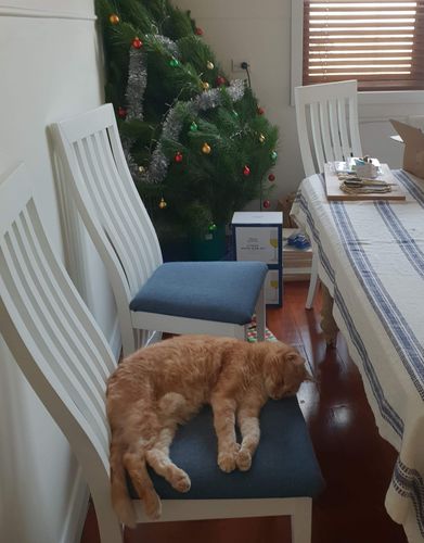 received_148822766812602.jpeg received_148822766812602.jpeg