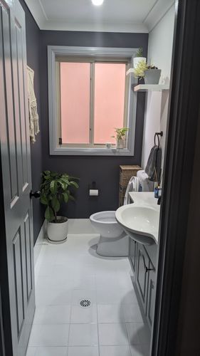 PXL_20201124_043731835.jpg PXL_20201124_043731835.jpg