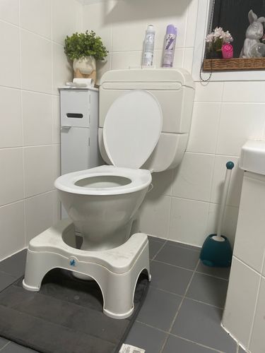 IMG_4969.jpeg IMG_4969.jpeg