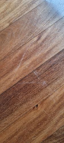 1000490410.jpg 1000490410.jpg